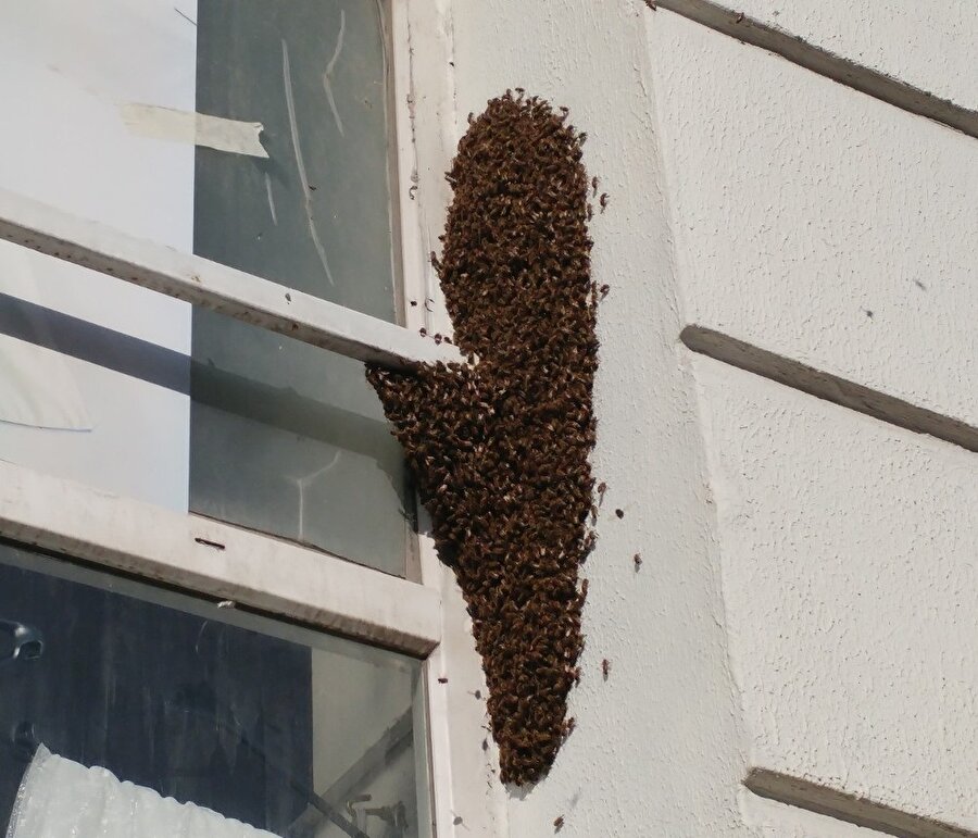 Mağaza kolonuna 2 ayrı yerden girerek bir arada uçuşan binlerce arı görenleri şaşkına çevirdi.