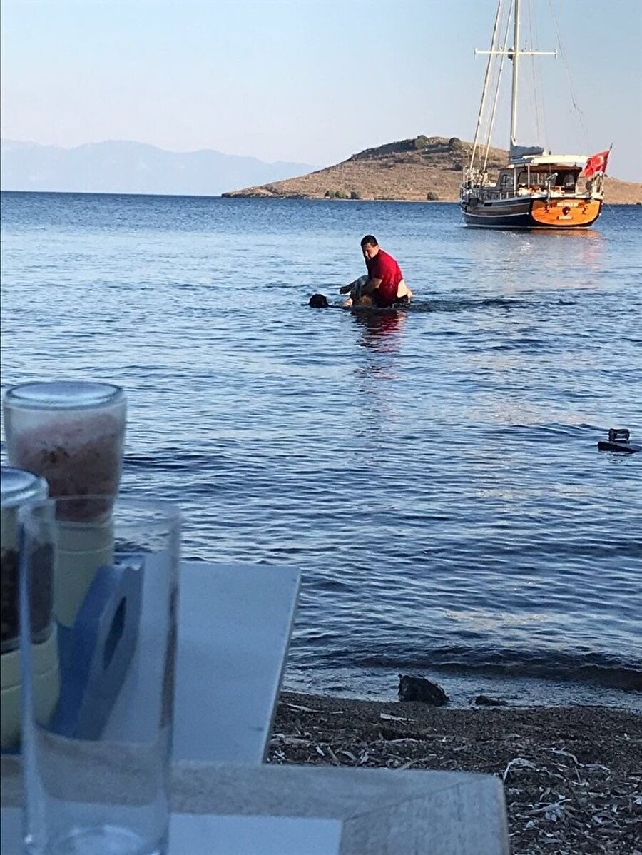 Bodrum Belediye Başkanı Mehmet Kocadon denizde boğulan tatilci bir kadının hayatını kurtardı.