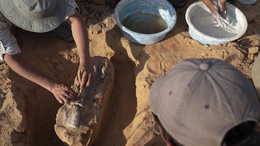 Bulunan fosillerin Moğolistan’ın başkenti Ulan Batur’da inceleneceği belirtildi.