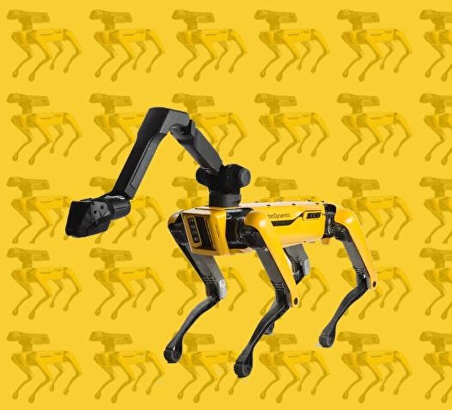 İnsana ya da hayvana benzeyen robotların yazılım ve tasarımında uzmanlaşmış bir mühendislik şirketi olan Boston Dynamics bugün dünyaca konuşulan robotlar üretmeyi başarıyor. 