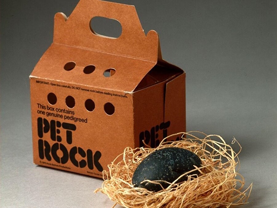 Evcil hayvan olarak piyasaya sürülen kayalar