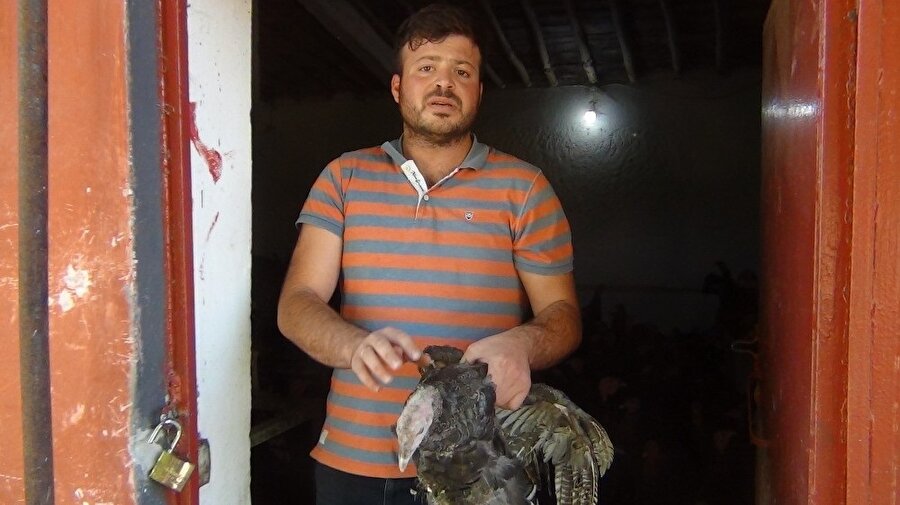 Hayvanlarına düzenli bakım yaptığını söyleyen Metin Altaş diğer hayvanlarının da ölmesinden korkuyor.