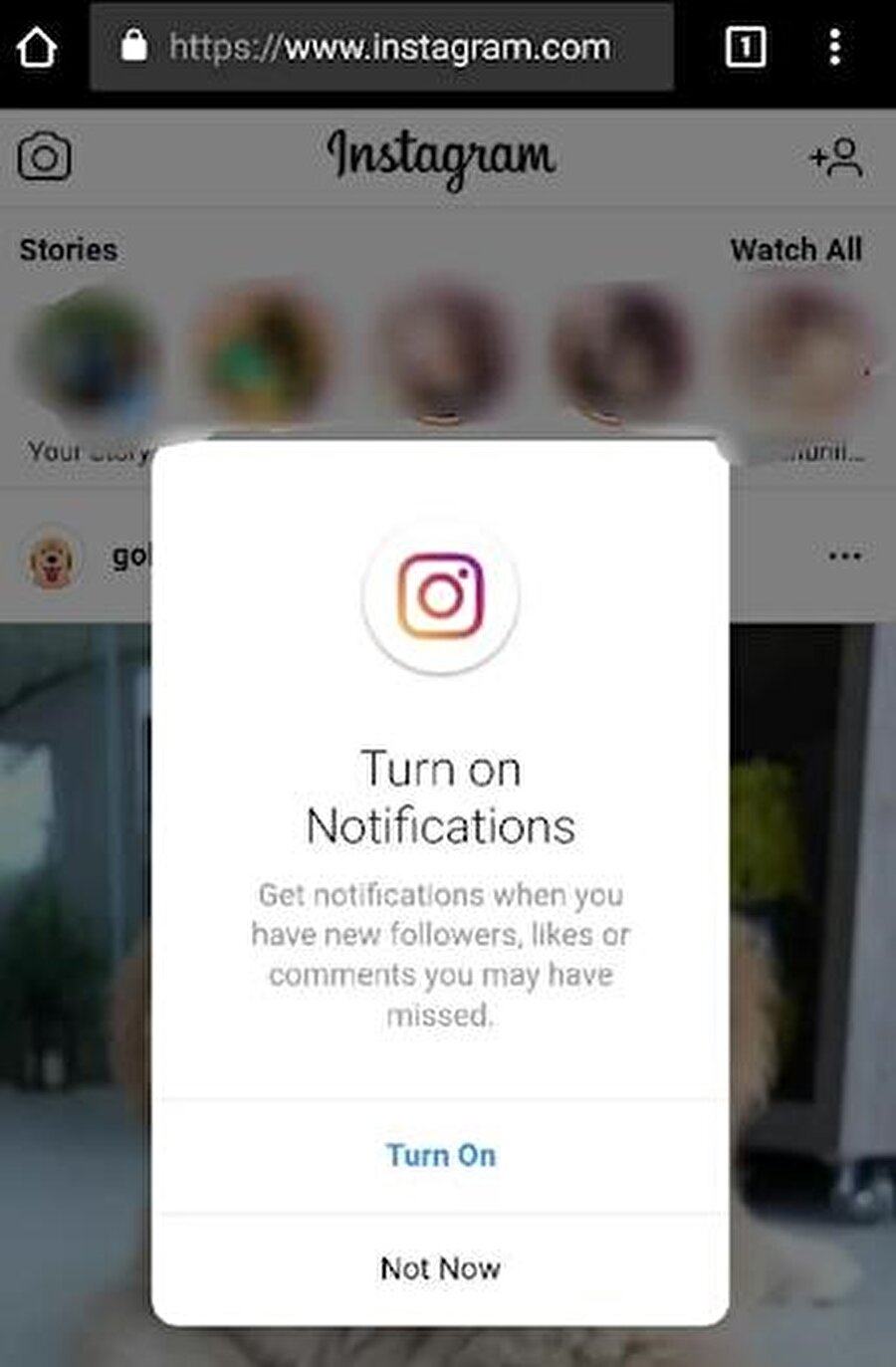 Instagram.com üzerinden erişilebilen sistemde bildirimler 'Turn On' tuşuyla basit bir şekilde aktif edilebiliyor. 