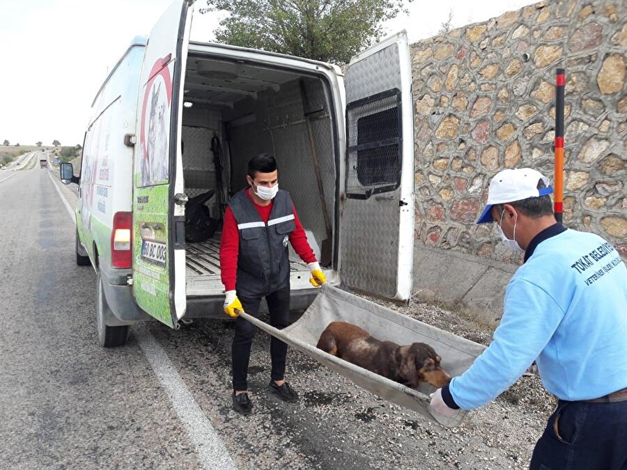 Ayaklarından yaralanan köpek, görevlilerce bulunduğu yerden kaldırılıp, tedavi için götürüldü.