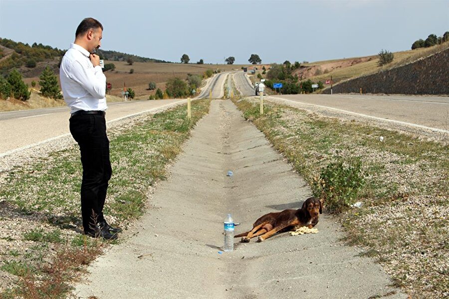 Sedat Sevil, otomobille çarptığı köpeğin başında yardım gelene kadar bekledi. 