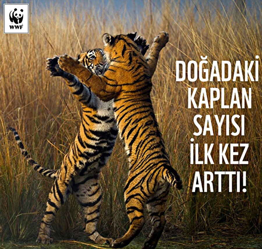 Dünya Doğayı Koruma Vakfı(WWF)