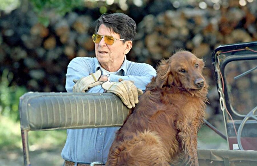 ABD'nin 40. Başkanı Ronald Reagan görev süresi boyunca resmi ziyaretler dahil köpeğini hiç yanından ayırmazdı.
