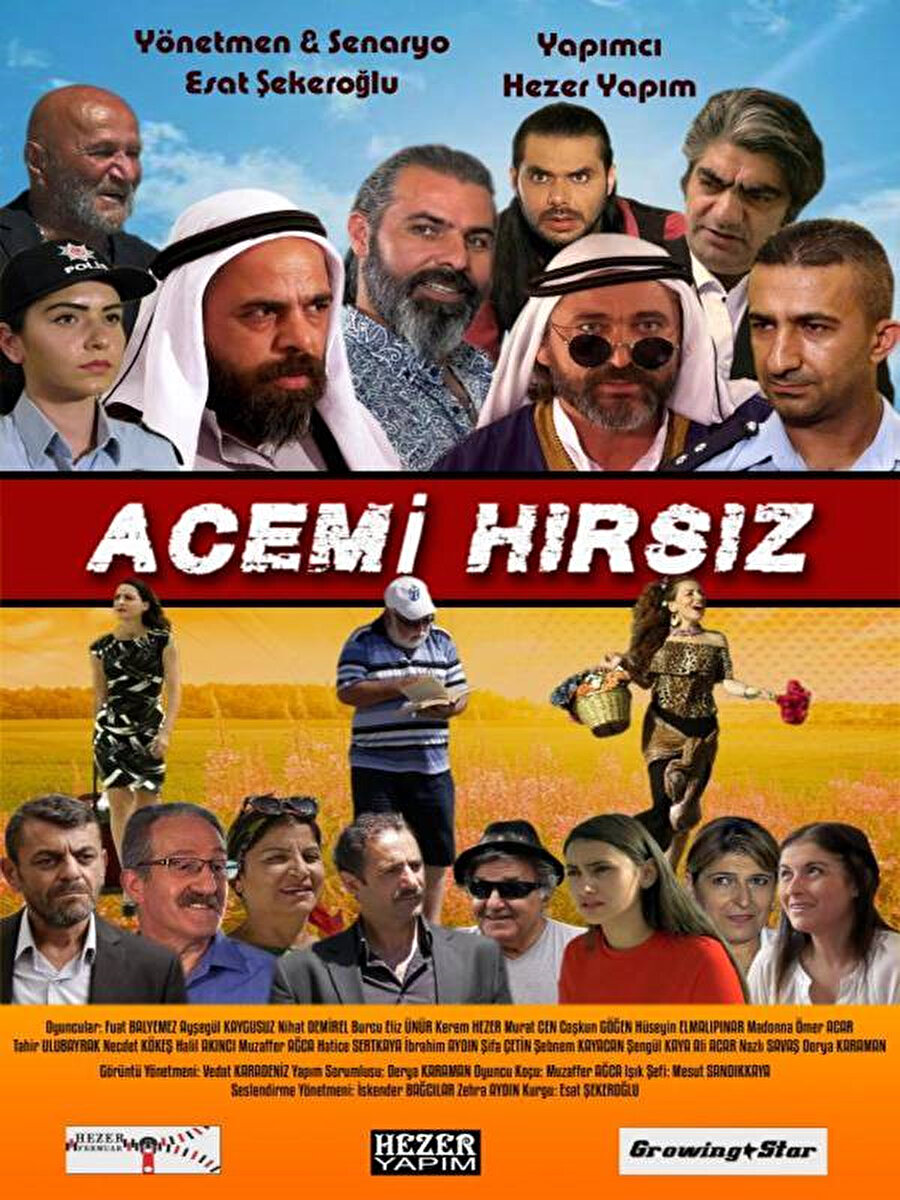 Acemi Hırsız