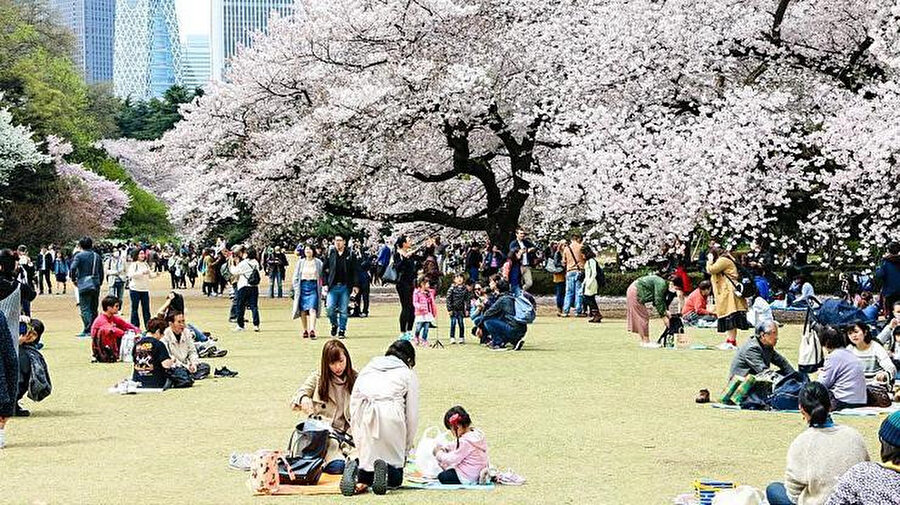 Park, II. Dünya Savaşı sırasında neredeyse tamamen tahrip edildi, 1949 yılında bir kamu parkı olarak yeniden inşa edildi ve yeniden açıldı.