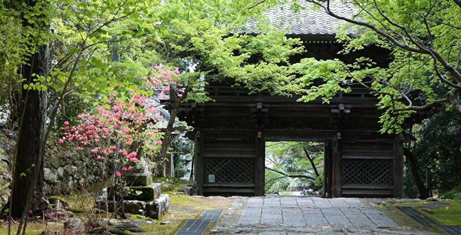 Shinjuku Gyoen, 1600’lü yıllarda feodal Japonya’da bir toprak sahibinin ikametiydi. Park, 1903'te bir eğlence bahçesine dönüştürüldü.