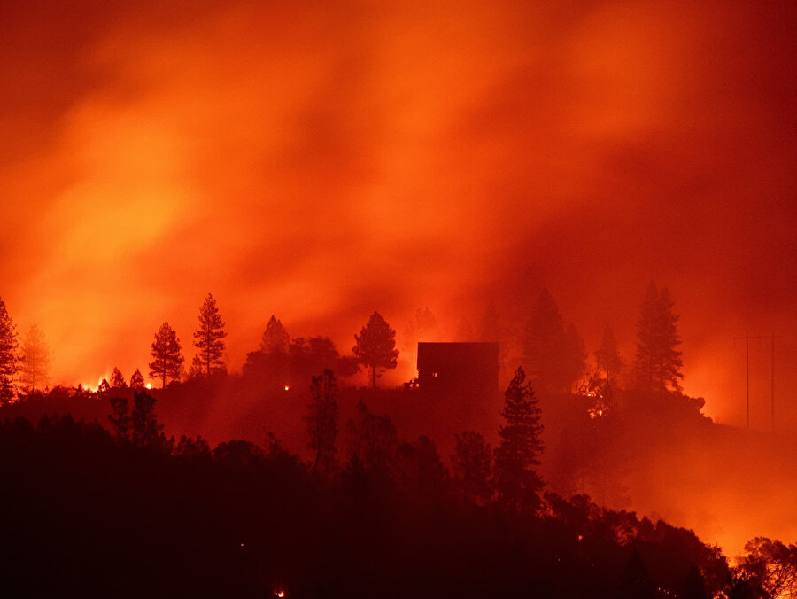 Kaliforniya yangınlarında, acı verici insan ölümleri dışında onlarca farklı bina ve iş yeri de zarar gördü.