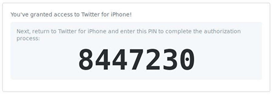 Twitter'daki hatayı görünür kılan 'PIN numarası' 