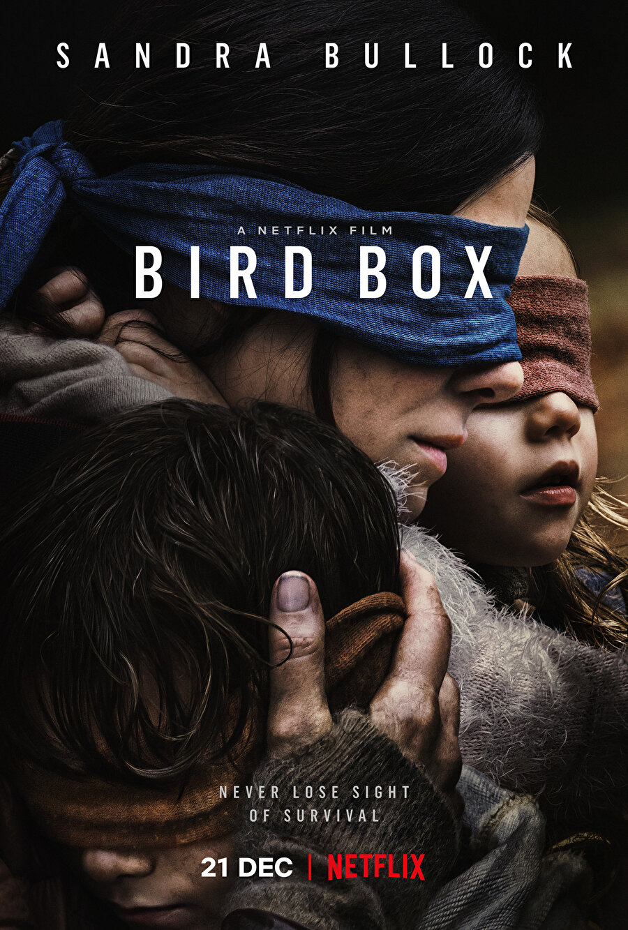 Bird Box 21 Aralık'ta Netflix'te yayınlanmaya başladı.