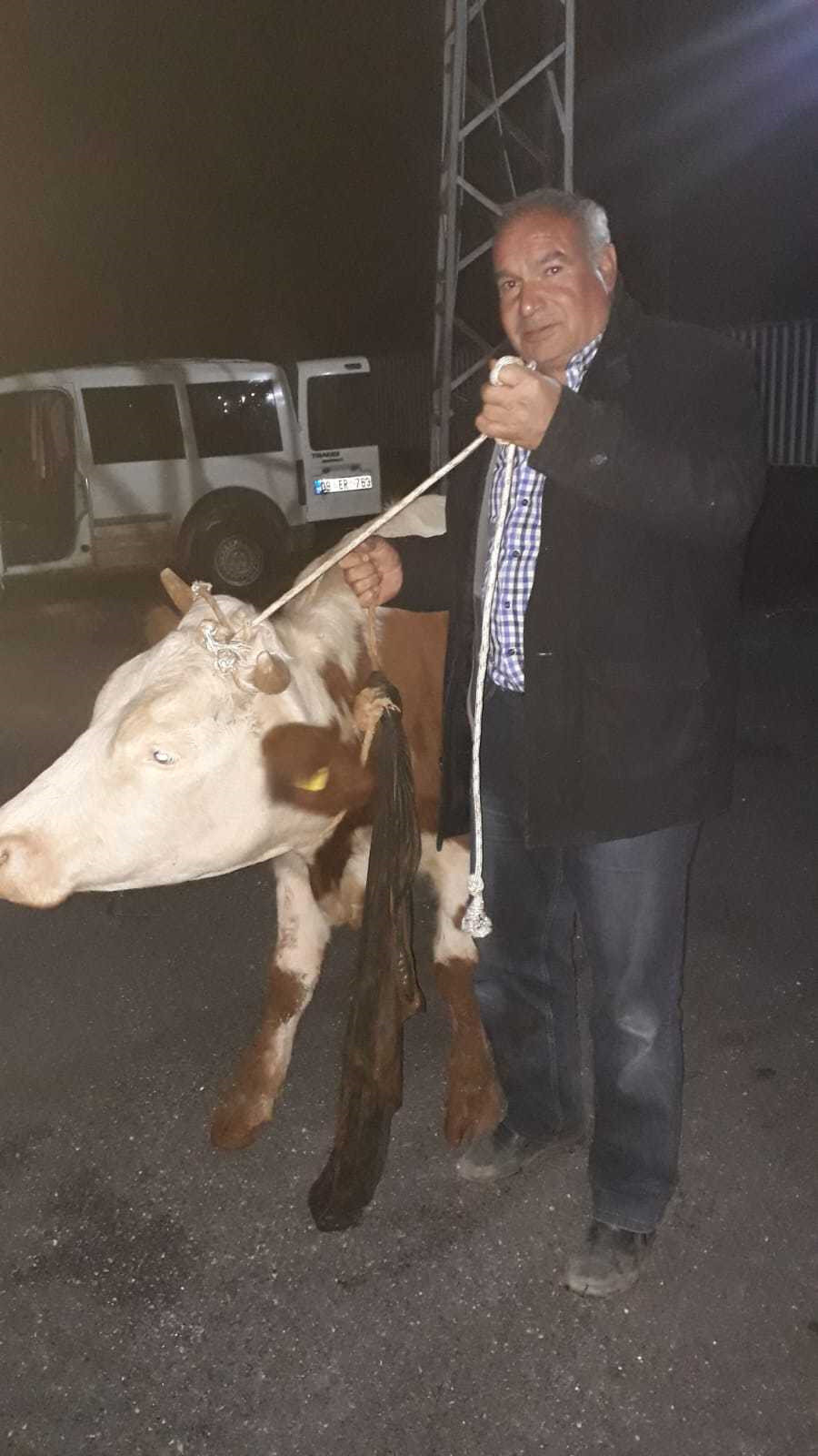 Şanlıurfa'nın Halfeti ilçesinde çalınan inek, Gaziantep'in Nizip ilçesinde polis tarafından bulundu. Polisler, ineği, çalındığından habersiz olan sahibine teslim etti.