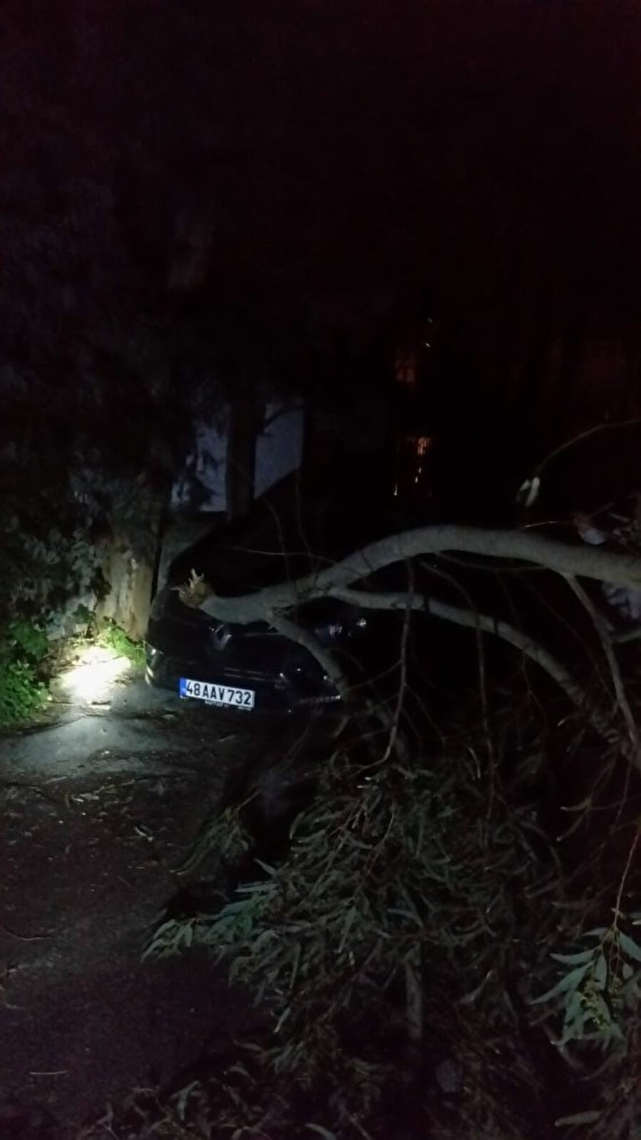 Muğla’nın Bodrum ilçesini önce fırtına sonra sağanak yağış vurdu. Bardaktan boşalırcasına yağan sağanak yağmur cadde ve sokakları göle çevirdi. Ağaçların devrildiği, araçların yolda kaldığı ilçede hayat durma noktasına geldi.