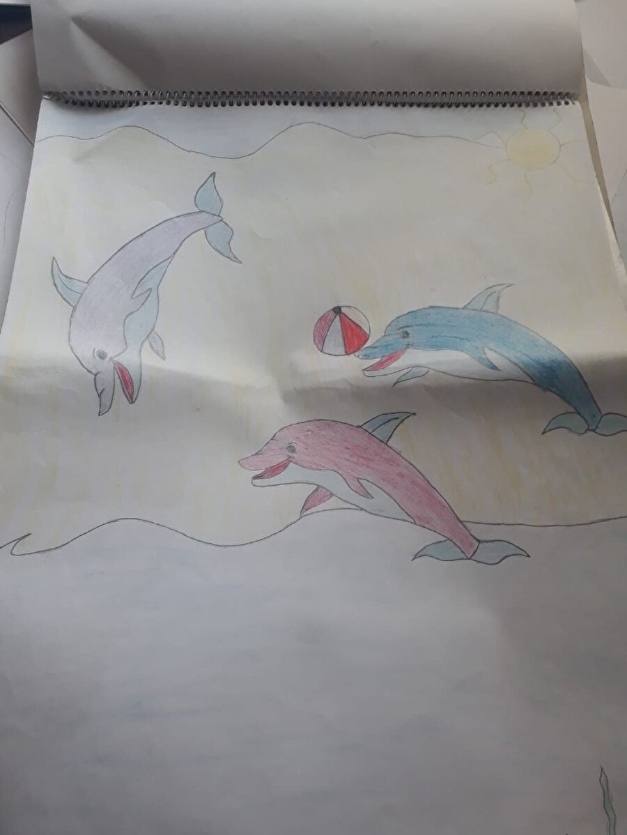 Emine'nin resim defterinde balina resimlerine rastlandı.