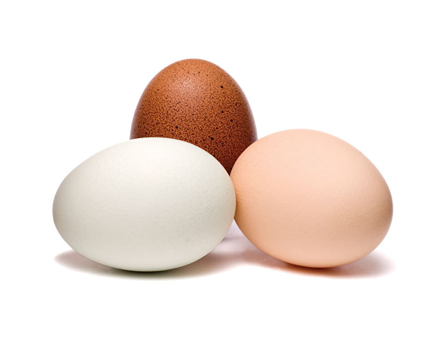 Tavuklar yılda 300 yumurta üretebiliyor.