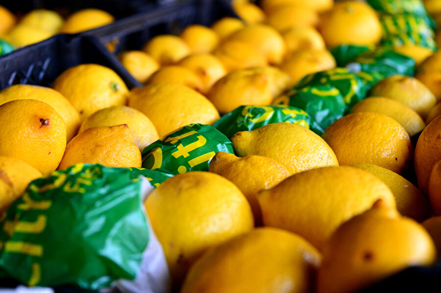  Saxe, Rusya'da limonun ‘prestijli bir ürün' olduğunu iddia etti. yazdı.