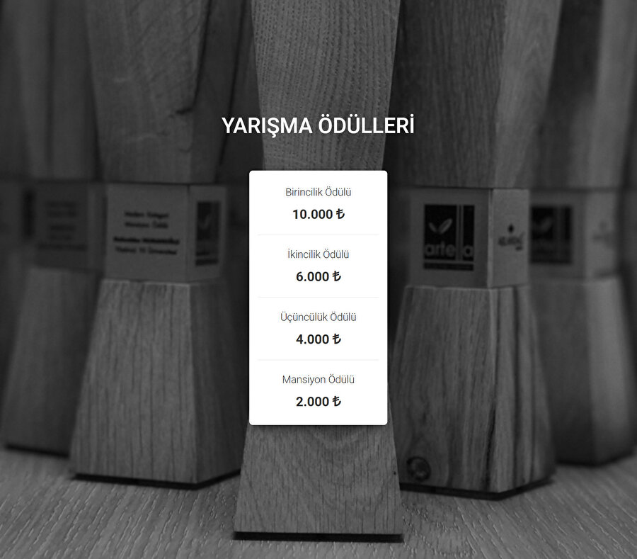 Yarışmada dereceye giren tasarımcılara para ödülü veriliyor.