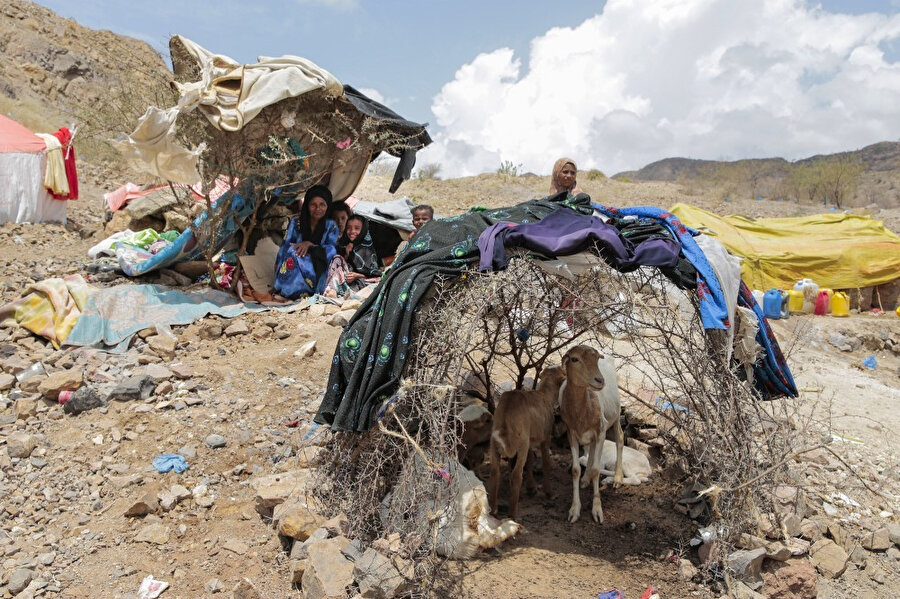 Taiz’deki çatışmalardan kaçıp güvenli buldukları bölgelere sığınan mülteciler.