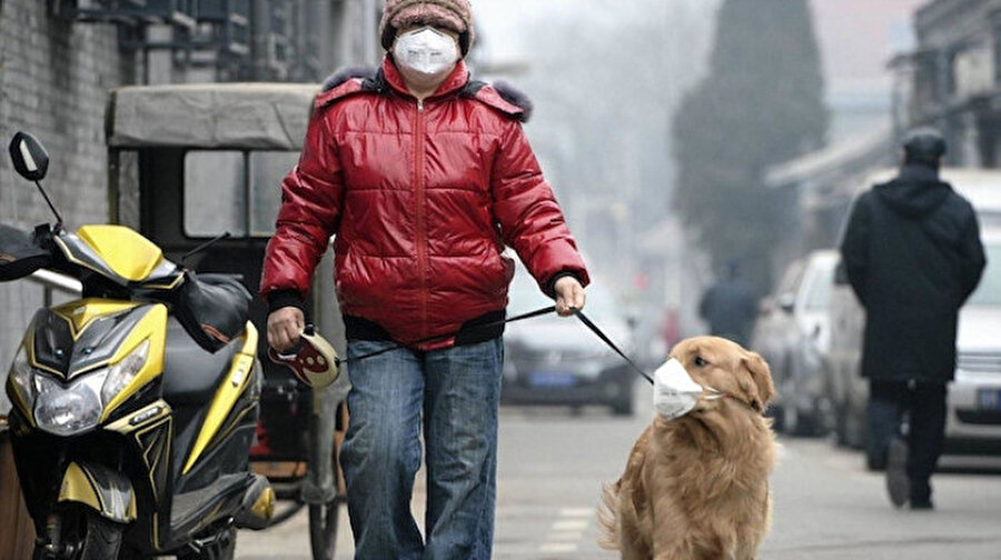 nHava kirliliği hayvanları ve insanları olumsuz etkiliyor.