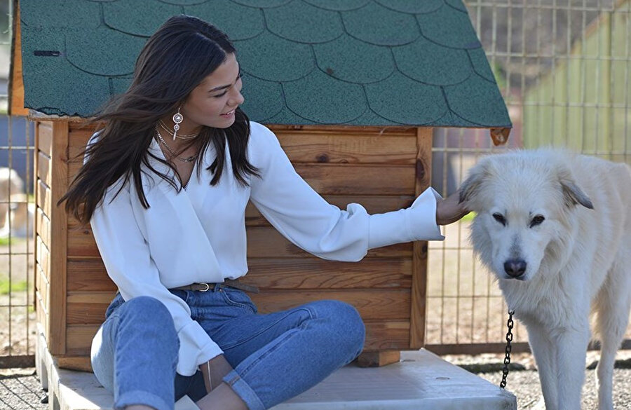 Demet Özdemir, genellikle yaz dizilerinde boy gösteriyor.