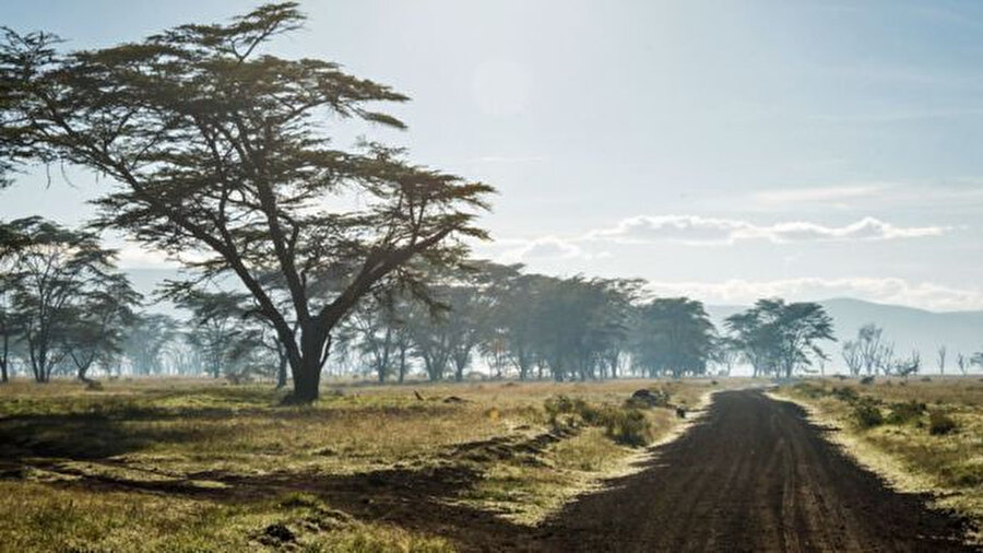 Büyük Rift Vadisi'nde öğrencilerin okula gitmek için her gün 6 kilometreden fazla yürümeleri gerekiyor.