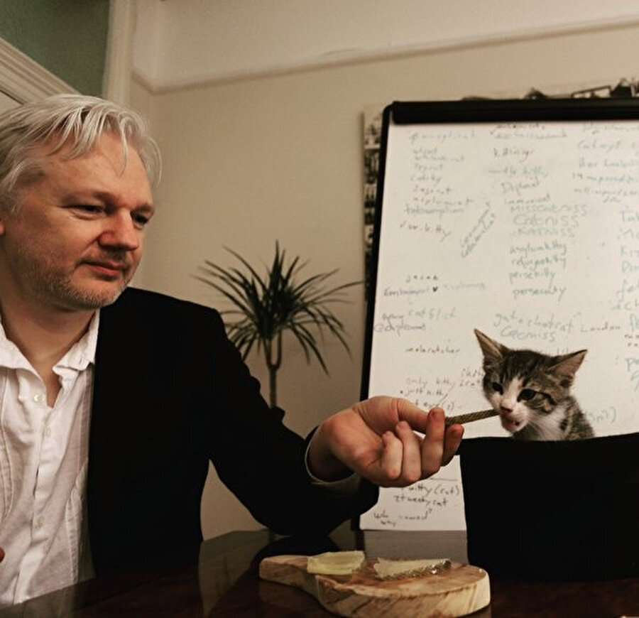 Assange 7 yıldır Ekvador Büyükelçiliğinde yaşıyordu.