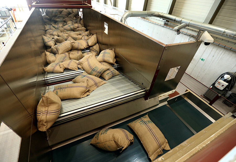 Kahve işleme fabrikasında 60'ar kilogramlık kahve torbaları görünüyor.