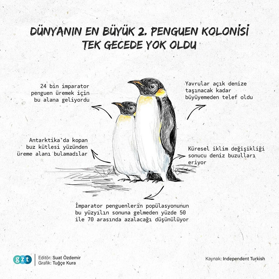 Araştırmacılar, penguenlerin izine düştü