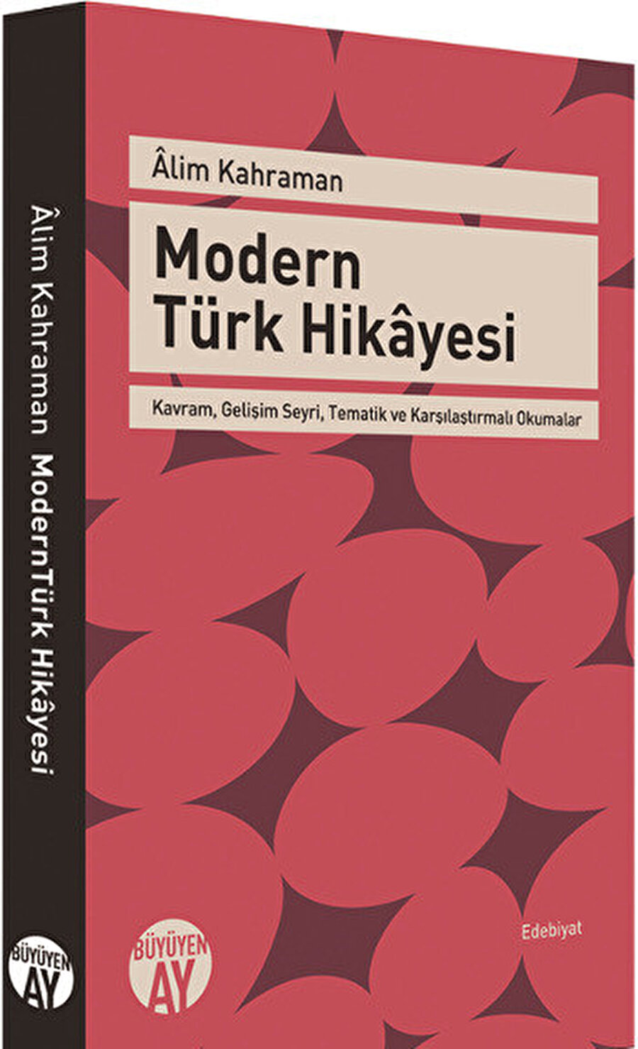 Bu eser, yazarın Modern Türk hikâyesi üzerine şimdiye dek yaptığı çalışmaların nihayet bir kitap bütünlüğüne kavuşmuş hali. 