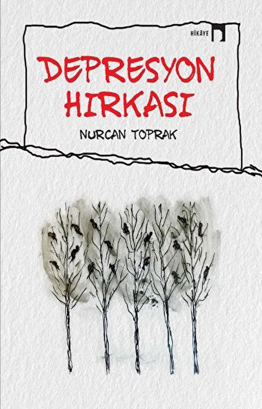 Depresyon Hırkası, Nurcan Toprak, Dergah Yayınları