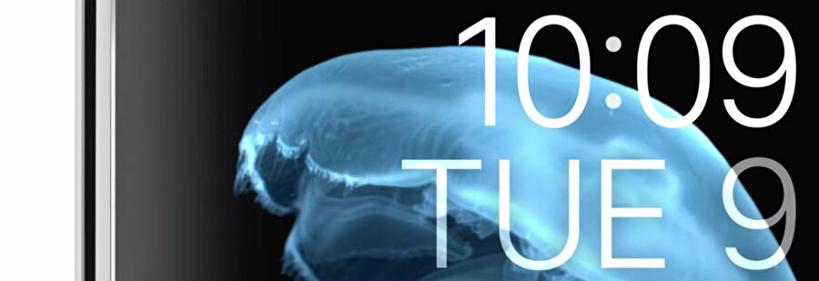 Apple denizanası animasyonunu da yine saniyede 300 kare fotoğraflayarak gerçekleştirdi. 