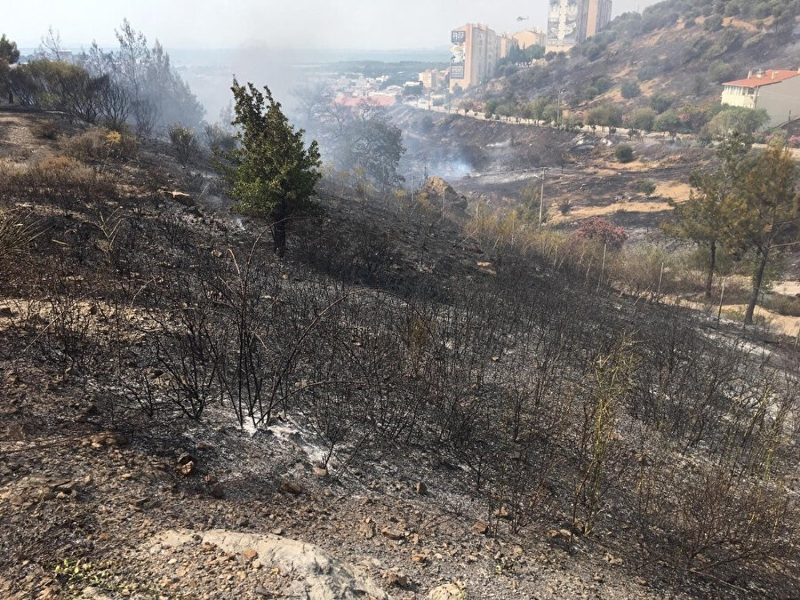 İzmir ormanlık alanda yangın