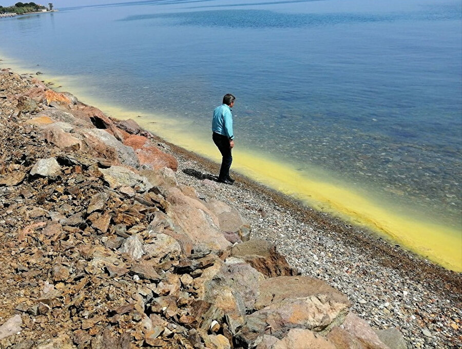 Ayvacık Sahilinde denizin rengi polenler nedeniyle sarıya boyanmıştı. -AA