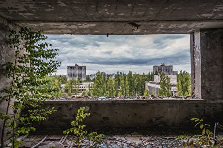 Çernobil kazasının yaşandığı kentte tek yaşam belirtisi bitkiler olarak görülüyor 