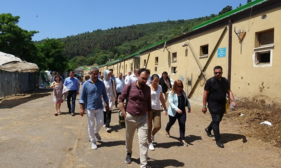 TBMM Hayvan Haklarını Araştırma Komisyonu, faytonlarla ilgili hazırlanacak rapor için Adalar'da inceleme yaptı.