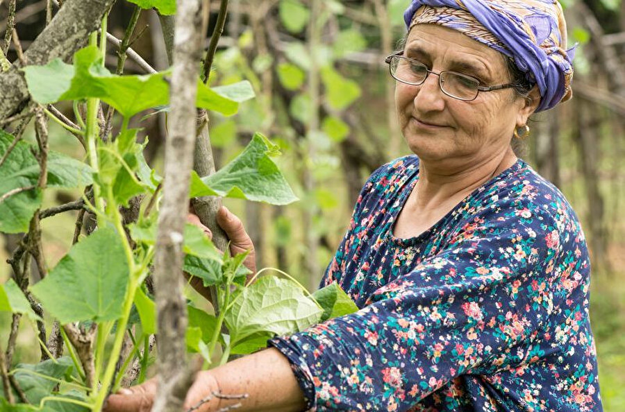 Çiçekleri teyzemin dert ortağıydı.