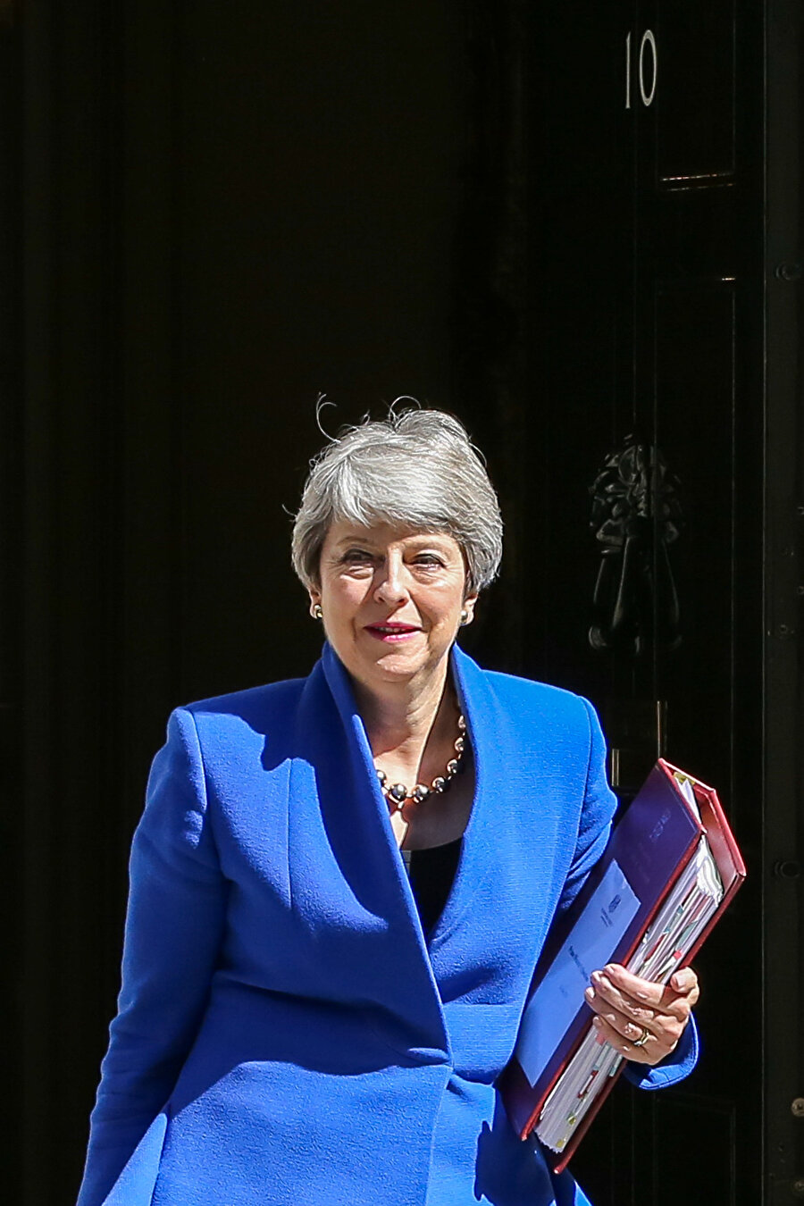 Boris Johnson, Theresa May'in yerine yeni Başbakan olarak görev yapacak. 