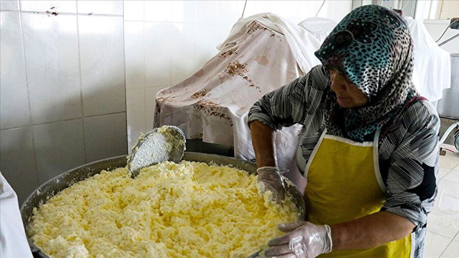 Fevziye Öztürk aile bütçesine katkı sağlamak için süt işletmecisi kurdu