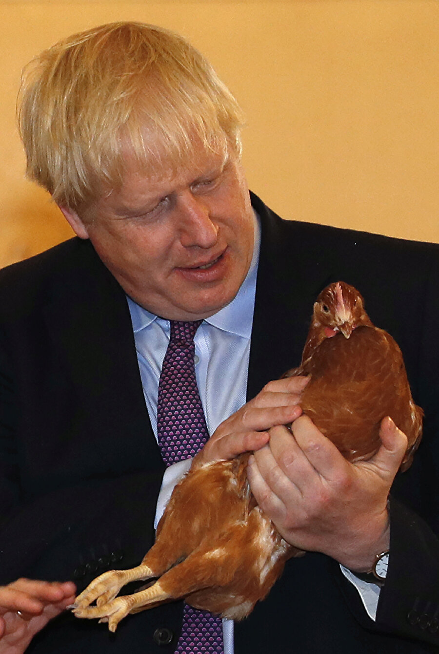 Başbakan Johnson tavuk üretim merkezinde görünüyor.