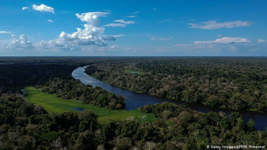  Amazon Yağmur Ormanları sadece Brezilya için değil, Güney Amerika'nın tamamı için muazzam miktarda su üretiyor. 'Uçan nehirler' olarak adlandırılan, evapotranspirasyon sonucu oluşan su buharı ile yüklü hava kütleleri Brezilya'nın pek çok bölgesine nem taşıyor. 