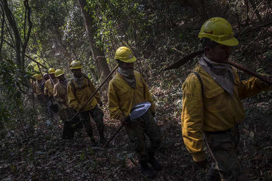 Yangın söndürme ekibi Amazon ormanlarında görünüyor.