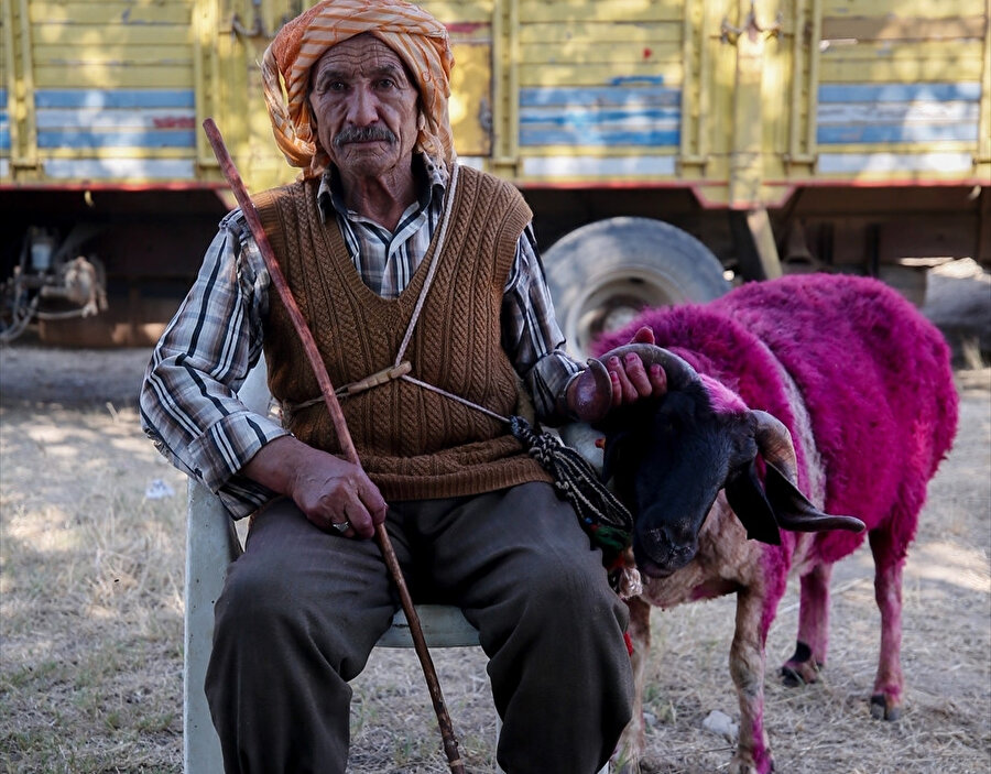 Ön elemeyi geçemeyen çobanlar gelecek yıl tekrar katılmak istediğini belirtti