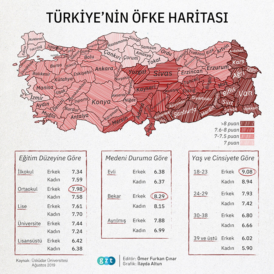 Türkiye'nin Öfke Haritası