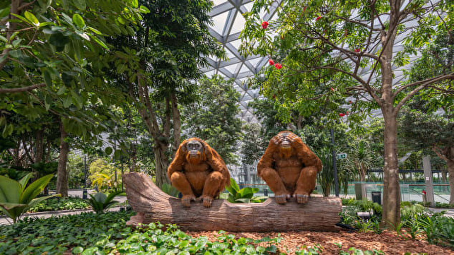 Jewel Changi Havaalanı Canopy Parkındaki Topiary Walk.