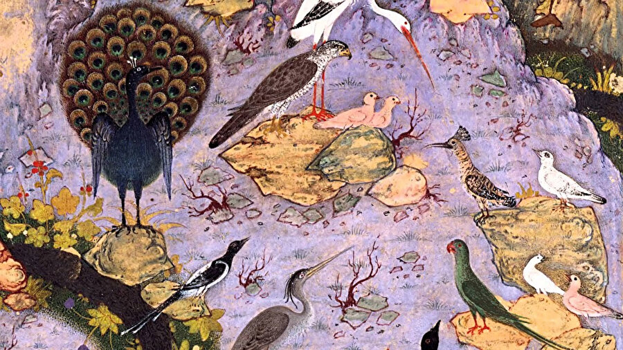 Mantık-ut Tayr’da kuşların geçtiği yedi vadi, tasavvufun esası kabul edilen tarikat, marifet ve hakikat merhalelerinin cüzlerini simgeler.