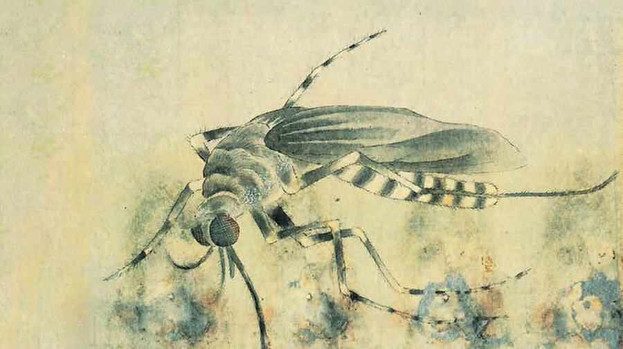 Binlerce yıldır coğrafyalarımızı paylaştığımız böcekler de bizimle birlikte post-modern hayatın bir parçası.