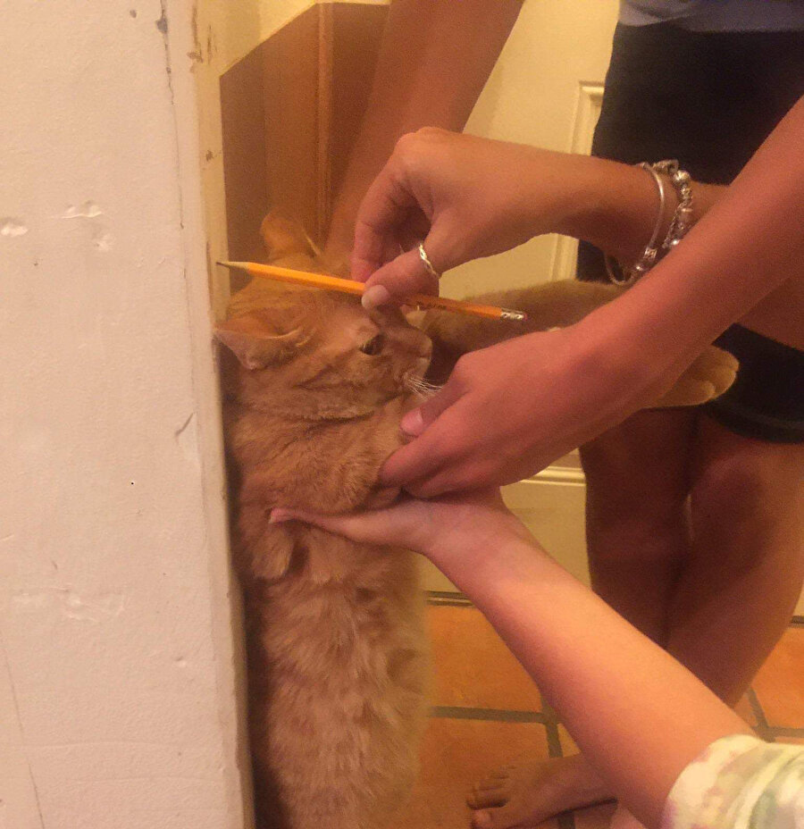 ​Uzamış mıyım?