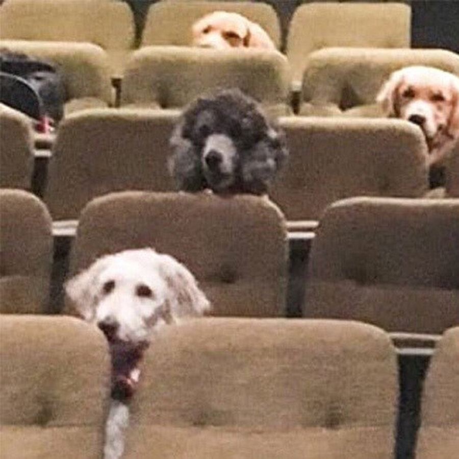 Ders arasından sonra sınıf mevcudu 